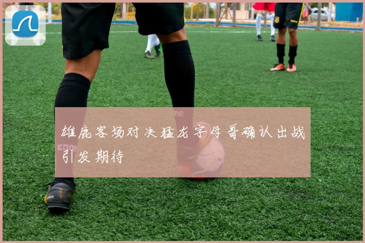 雄鹿客场对决猛龙字母哥确认出战引发期待