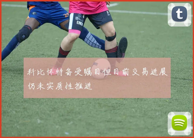 科比怀特备受瞩目但目前交易进展仍未实质性推进