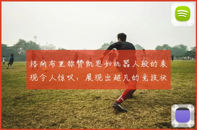格纳布里称赞凯恩如机器人般的表现令人惊叹，展现出超凡的竞技状态