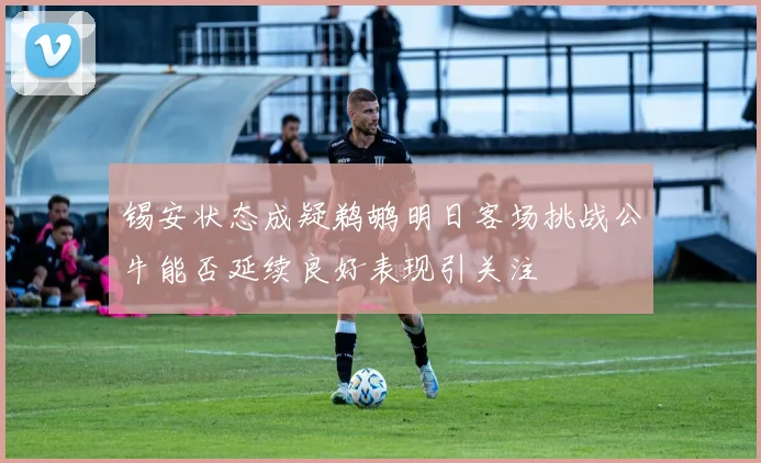 锡安状态成疑鹈鹕明日客场挑战公牛能否延续良好表现引关注
