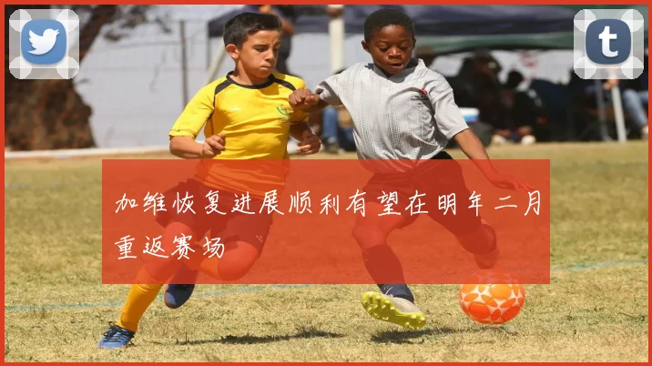 加维恢复进展顺利有望在明年二月重返赛场