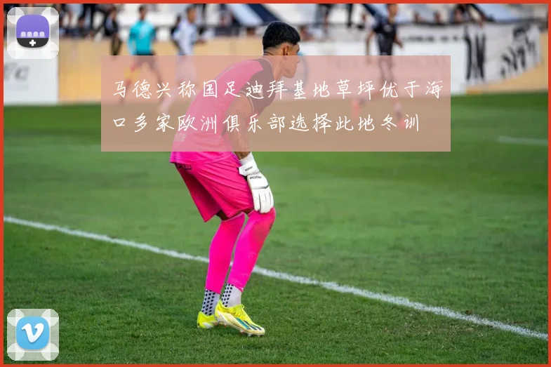 马德兴称国足迪拜基地草坪优于海口多家欧洲俱乐部选择此地冬训