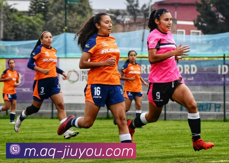 九游体育平台生态图