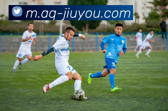 九游体育全站App